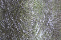 Upper Broughton fibreglass roof work